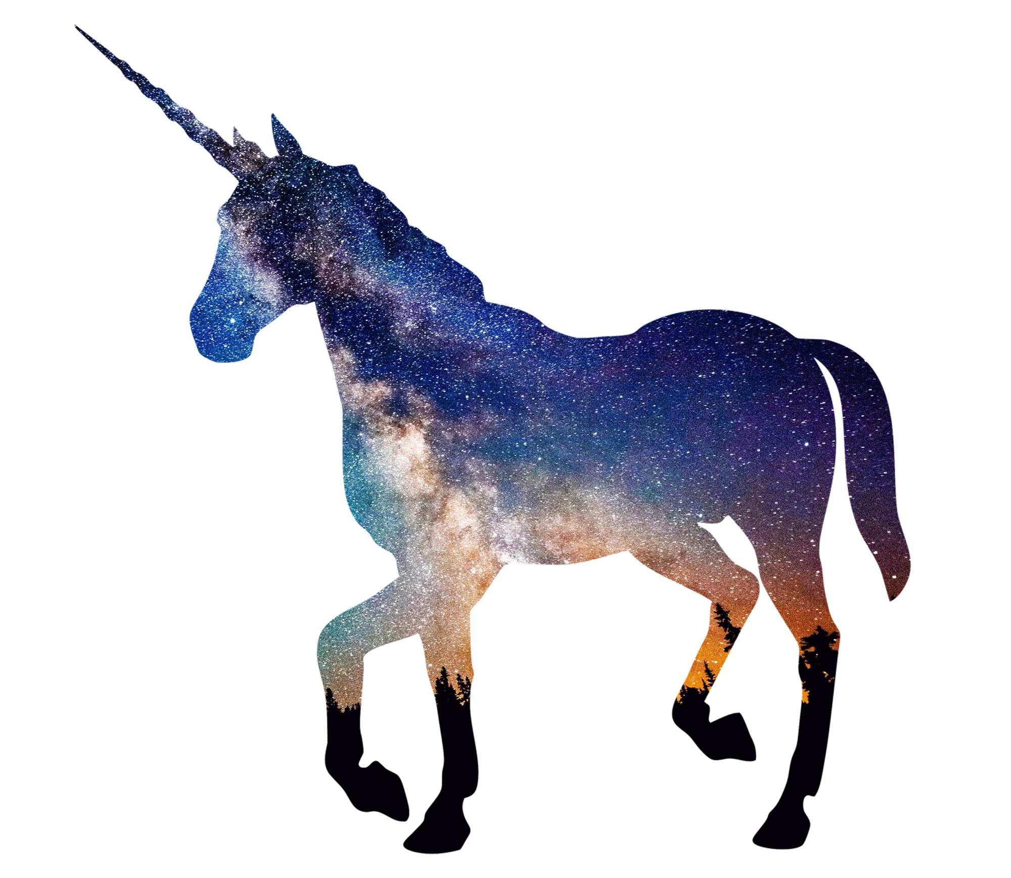 unicorn wonderland