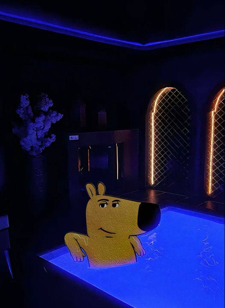 Chill